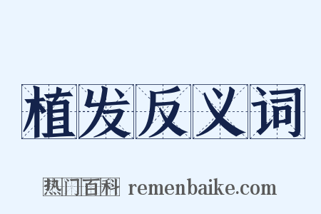 植发反义词是什么意思的图片